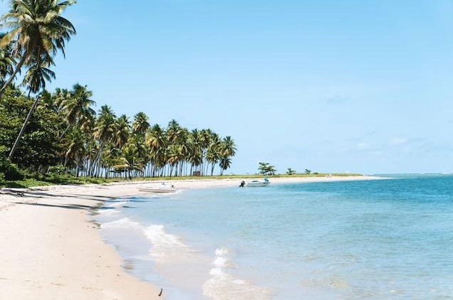 Os destinos para os quais você pode viajar com as melhores companhias aéreas do Brasil