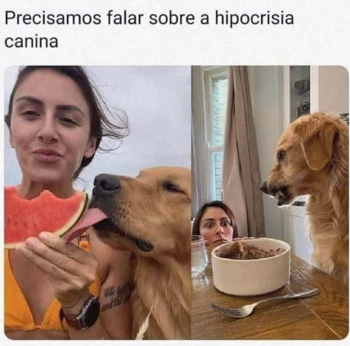 Precisamos falar sobre a hipocrisia canina